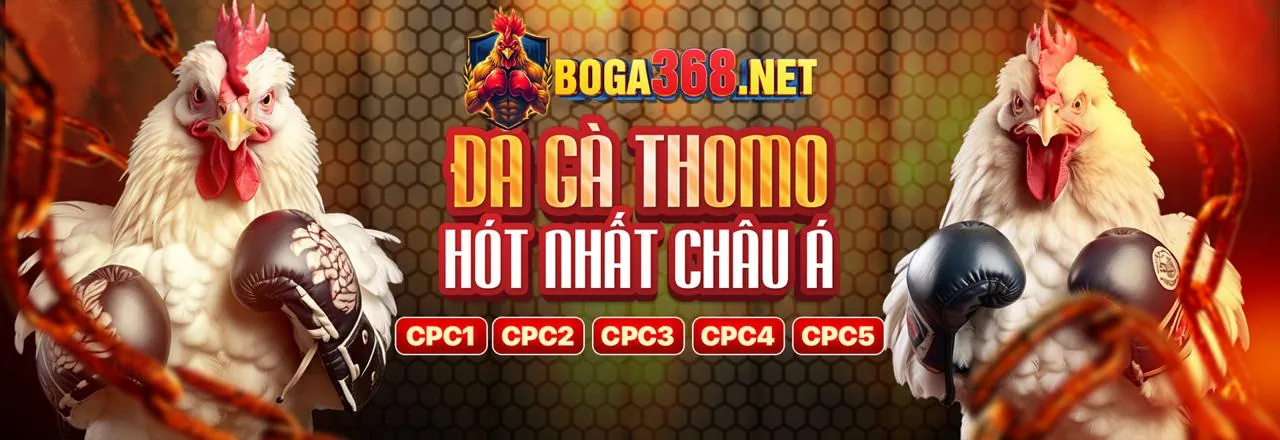 Đá Gà Trực Tuyến f169 code